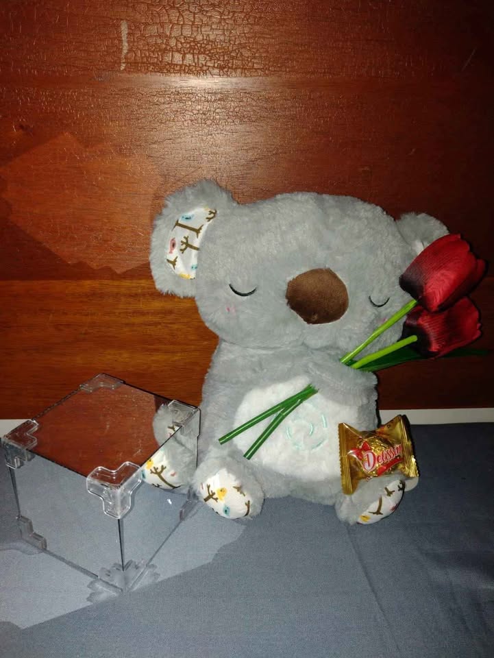 KOALA CON RESPIRACION ARTIFICIAL